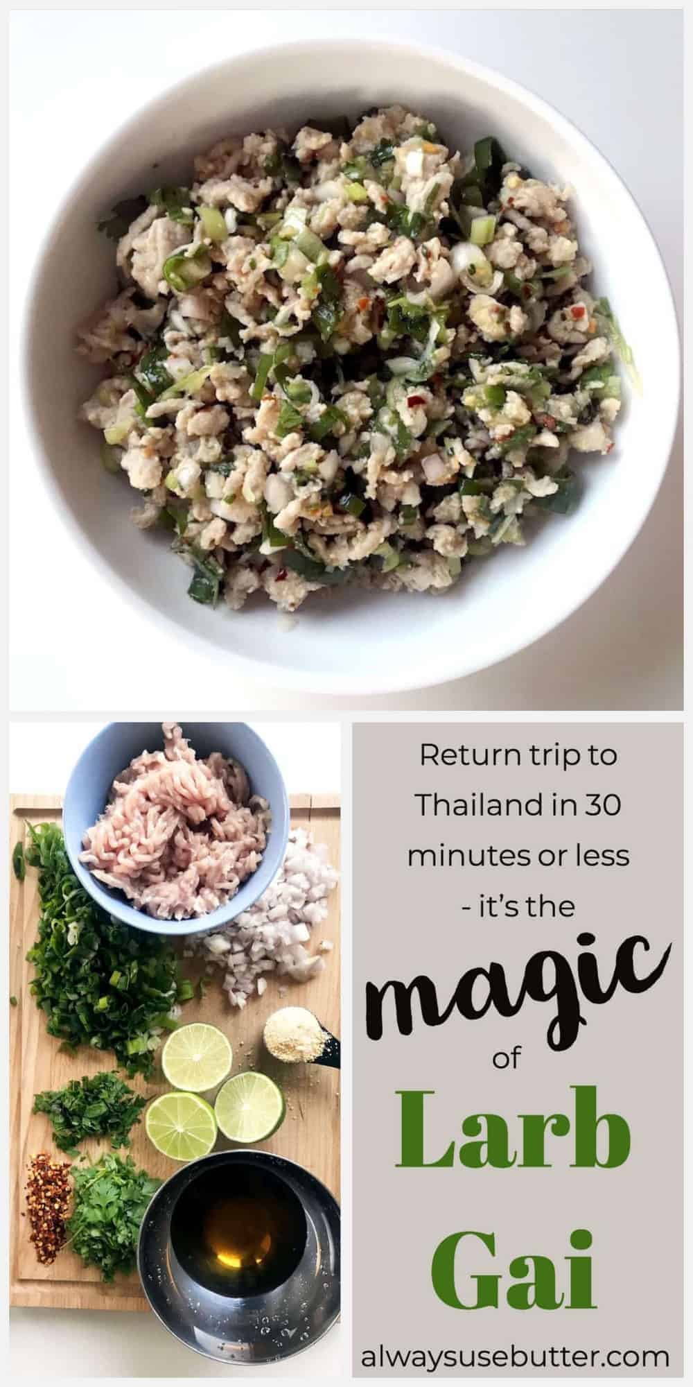 Larb Gai - Bring Thailand home to your own kitchen in just 10 minutes with this quick and delicious Larb Gai, filled with sumptuous Thai flavors such as lime, cilantro, chili and fish sauce. Sweet, savory, spicy and easily served as the best version of TV-dinner there is.