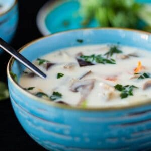 closeup sideview of thai ginger coconut soup