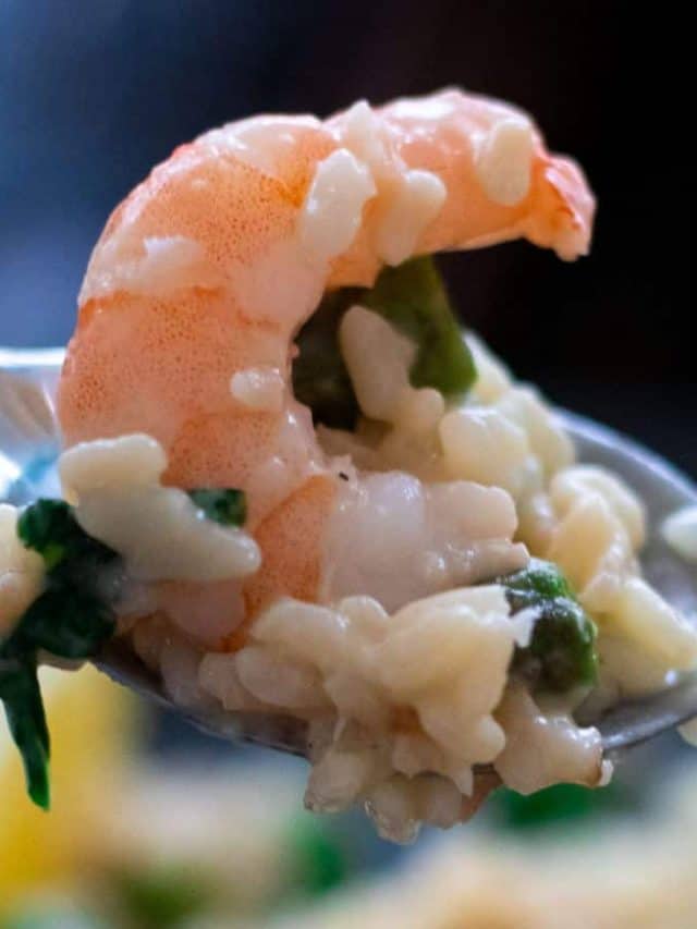 cropped-shrimp-risotto-12.jpg