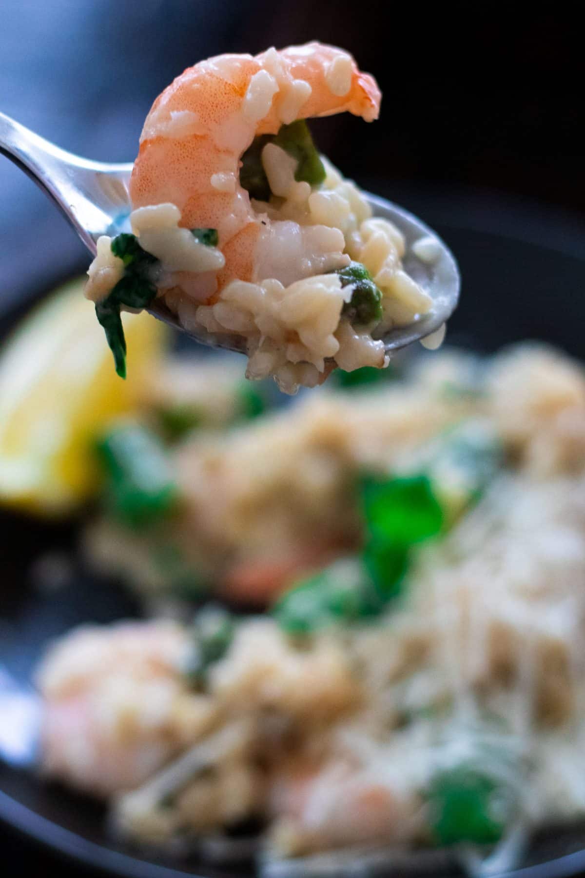 a spoonful of shrimp risotto.