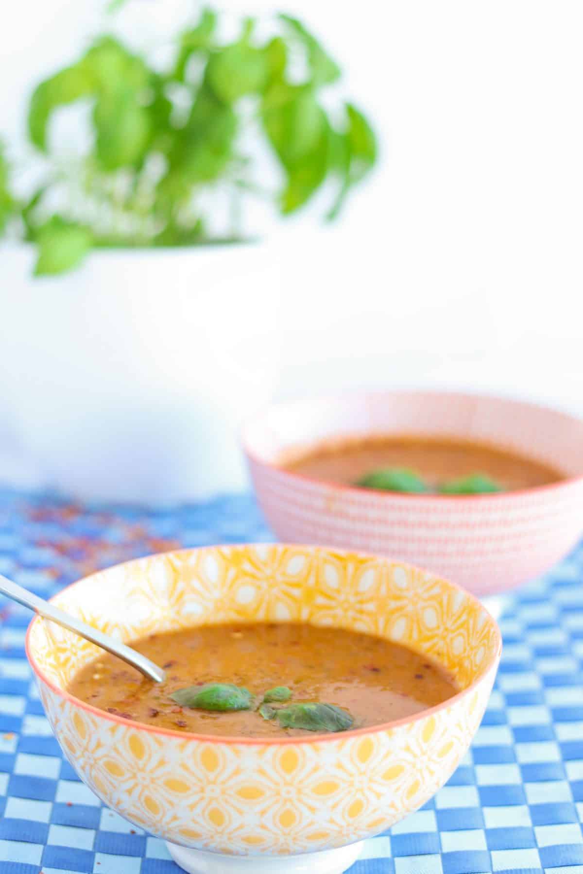 two bowls of vegan lentil soup with a basil plant in the background