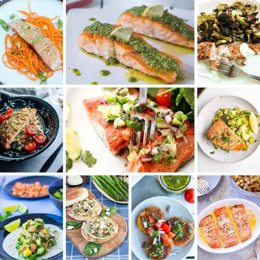 recipes included in salmon roundup