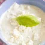 closeup of whipped feta cheese with a fresh basil leaf in a blue bowl