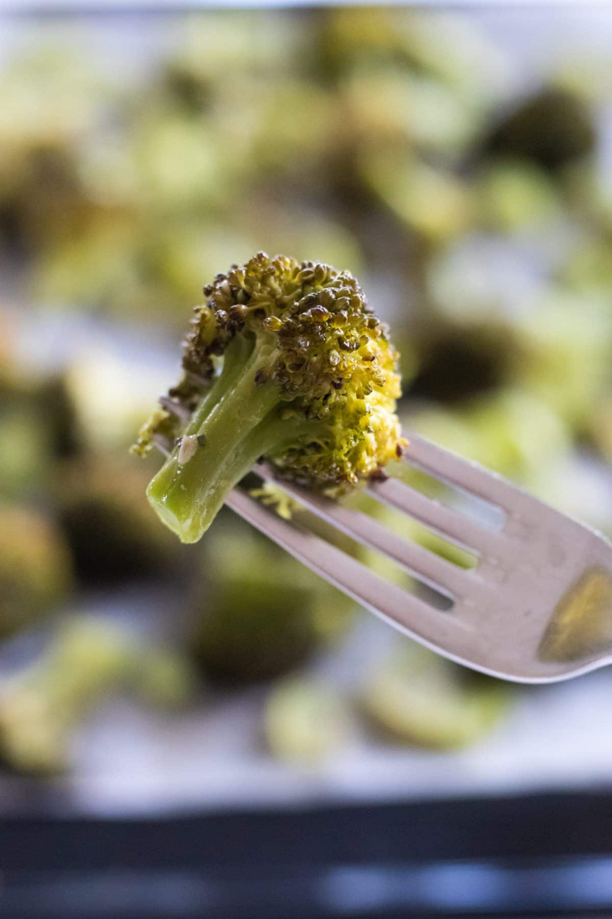 closeup of a piece of garlic roasted broccoli on a fork