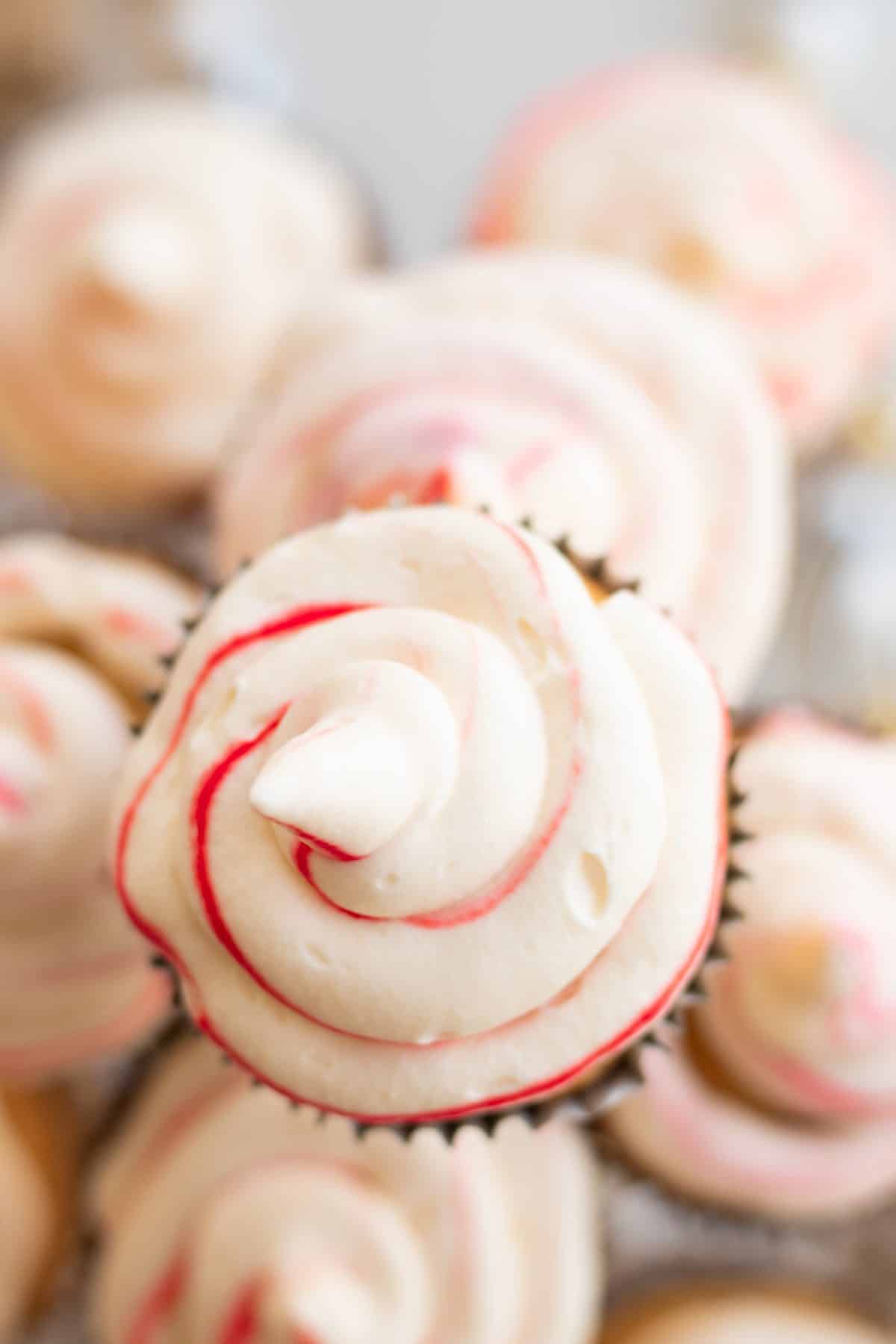 top down view of candy cane whipped cream on top of cupcakes.