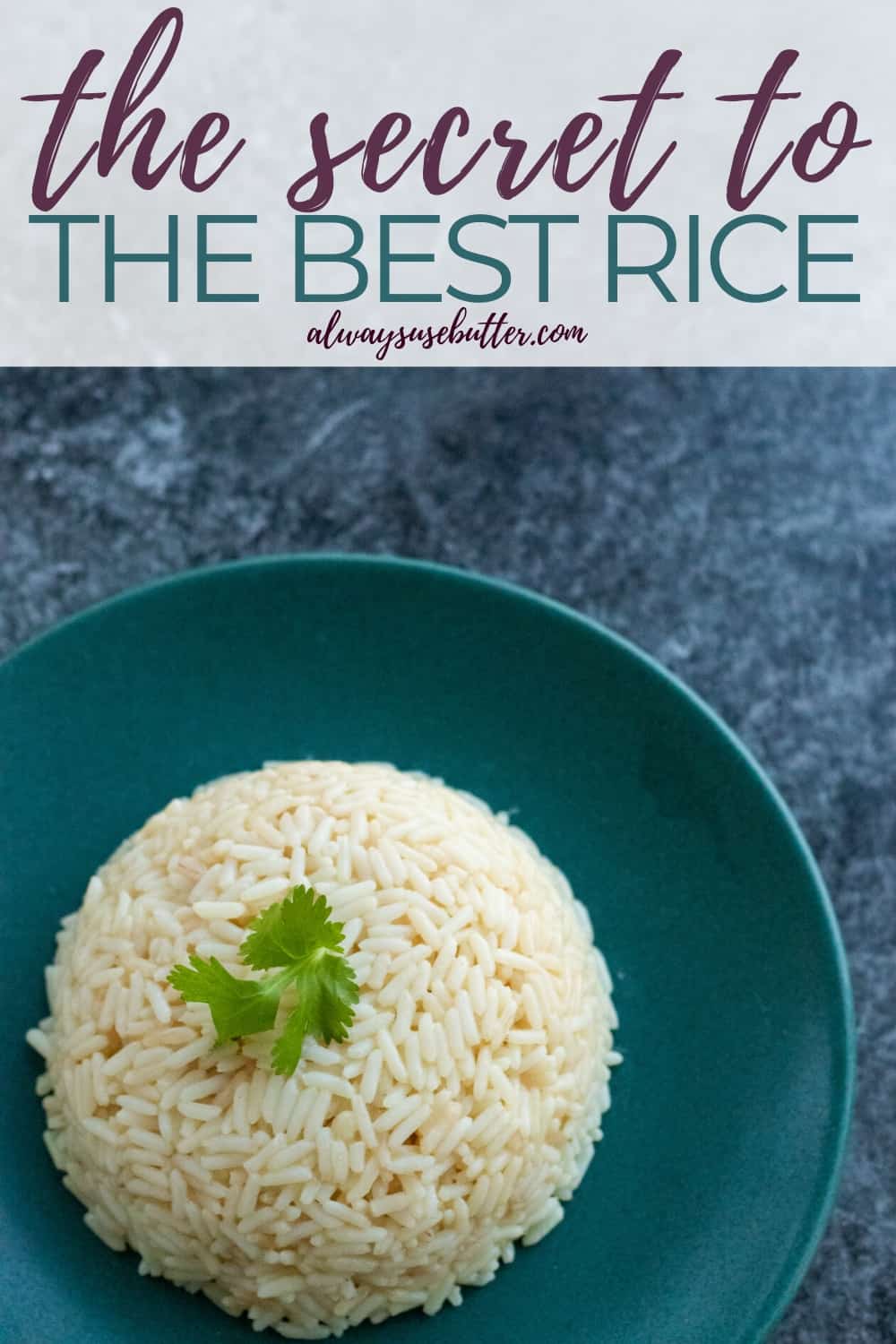 Seasoned Butter Rice [with Vegan Option] - always use butter