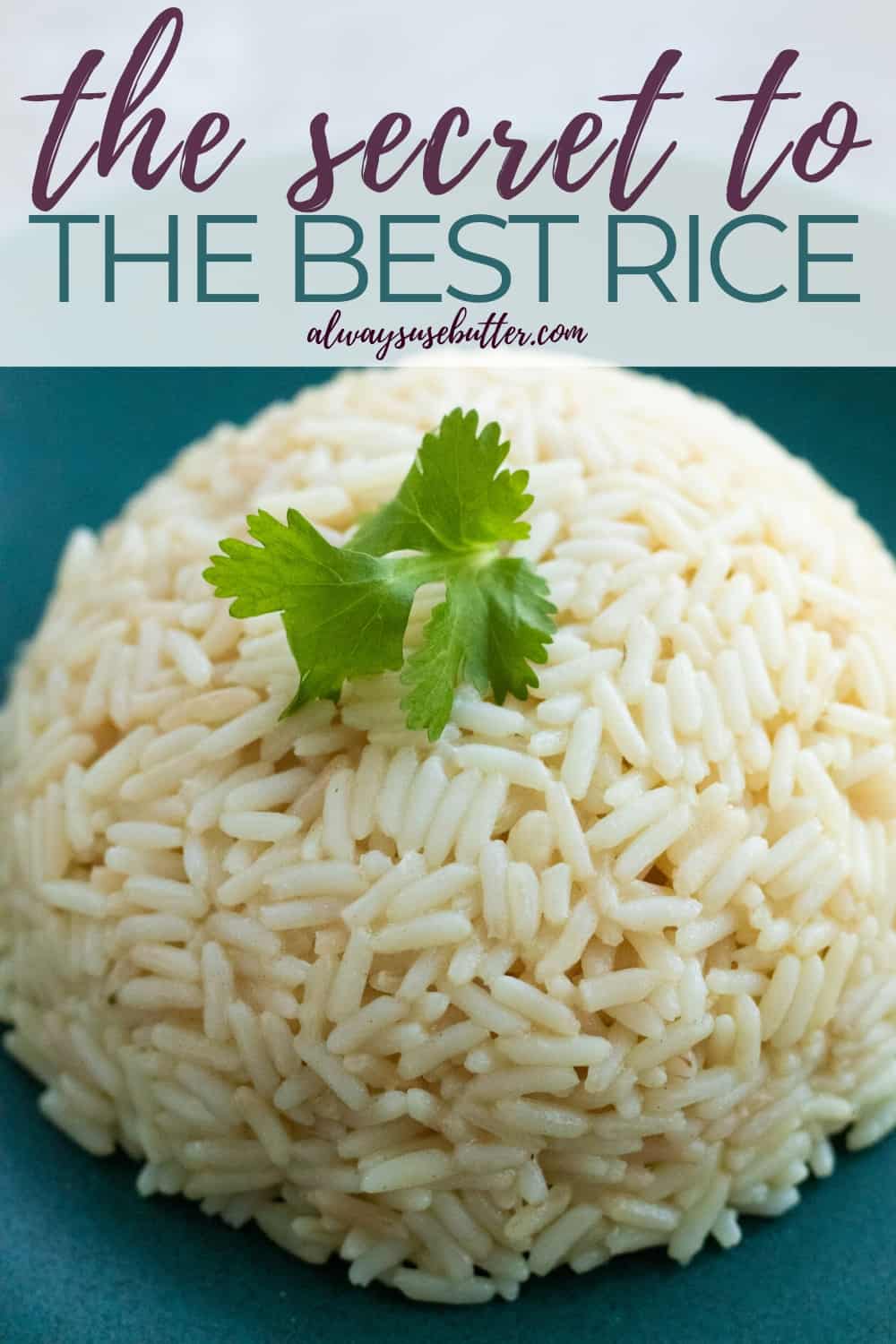 Seasoned Butter Rice [with Vegan Option] - always use butter