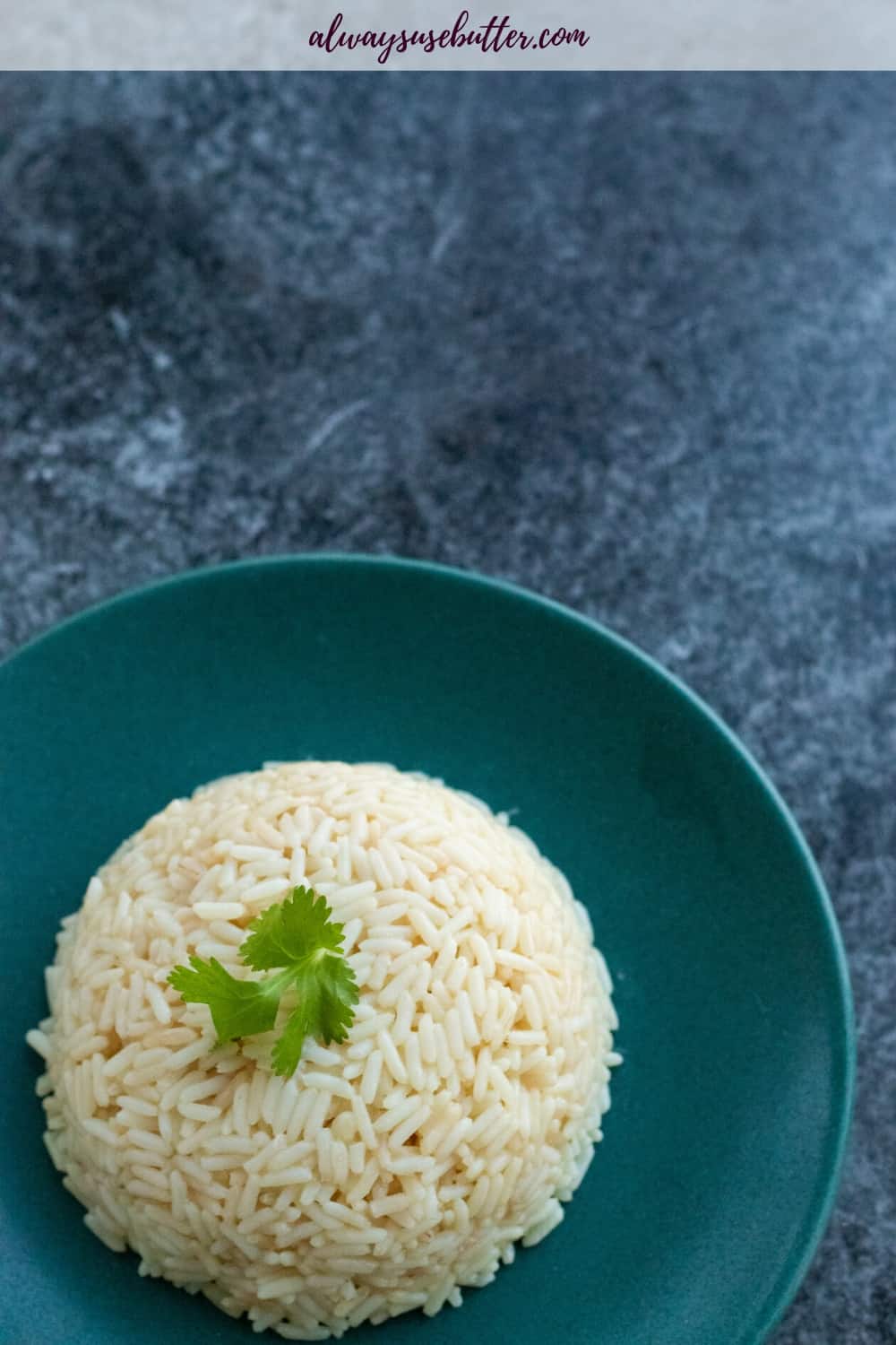 Seasoned Butter Rice [with Vegan Option] always use butter