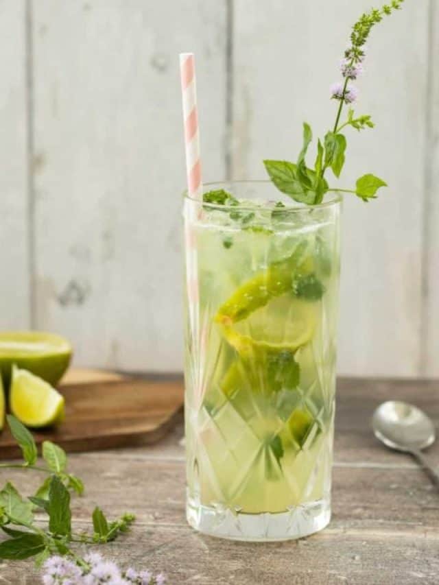 cropped-cropped-cropped-mojito-mocktail-3.jpg