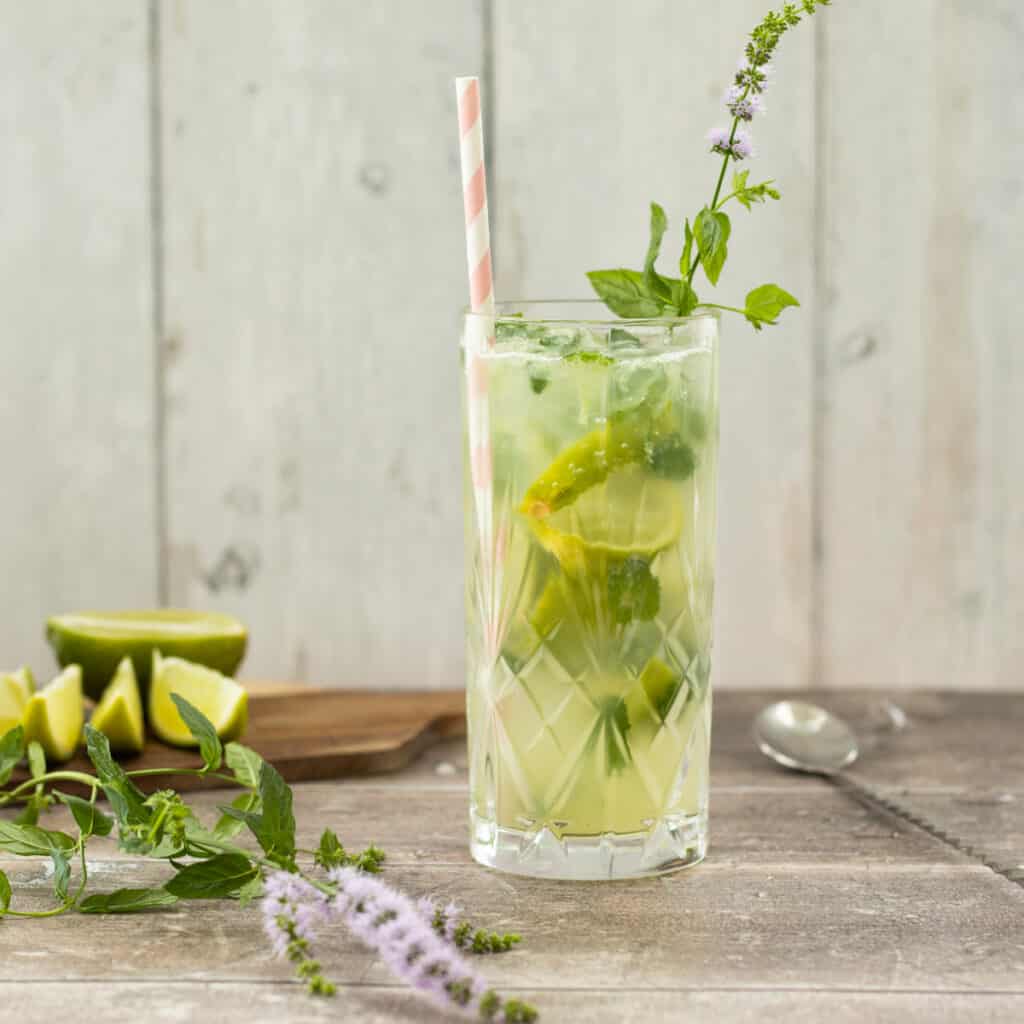 Mojito Mocktail [Sugar free] - always use butter