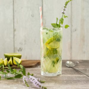 side view of a mojito mocktail with lime wedges in the background