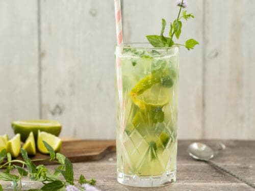 Virgin Mojito Mocktail - Aleka's Get-Together