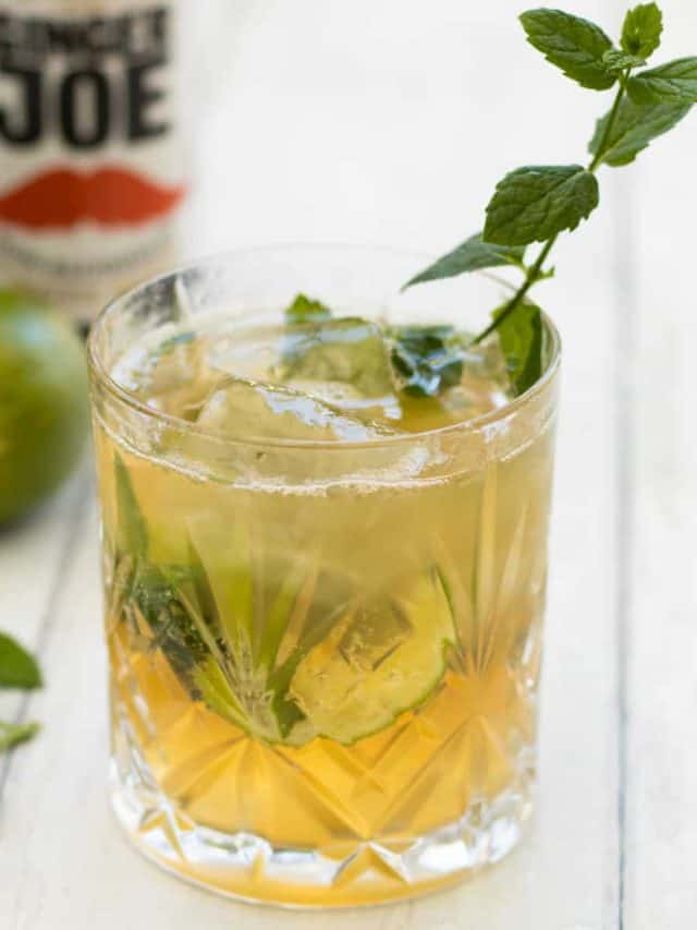 Ginger Beer Mocktail Recipe Always Use Butter 1181