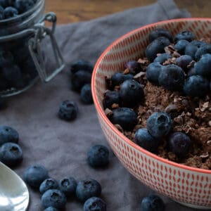 side view of a bowl of chocolate oatmeal topped with blueberries