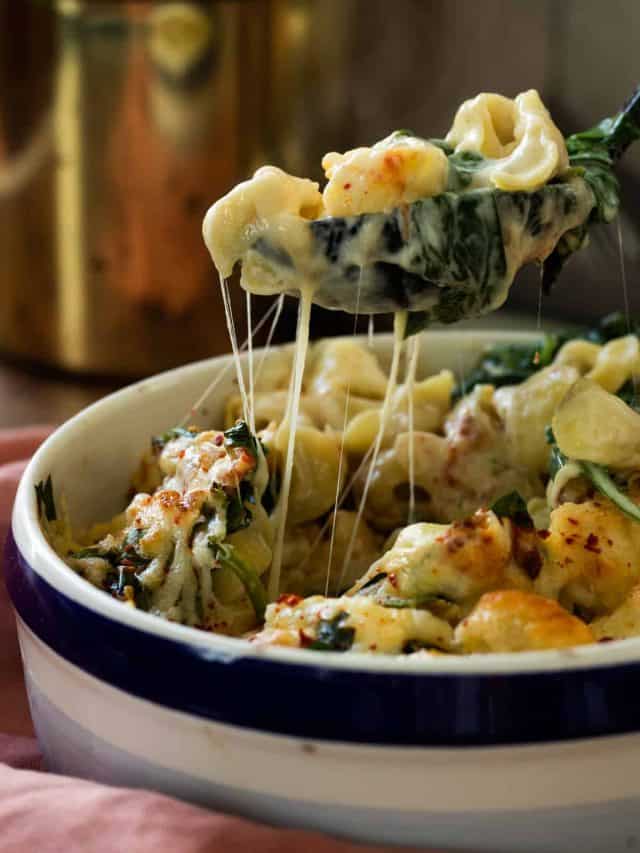 cropped-tortellini-al-forno-4.jpg