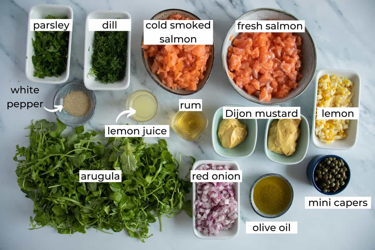 ingredients for salmon tartare