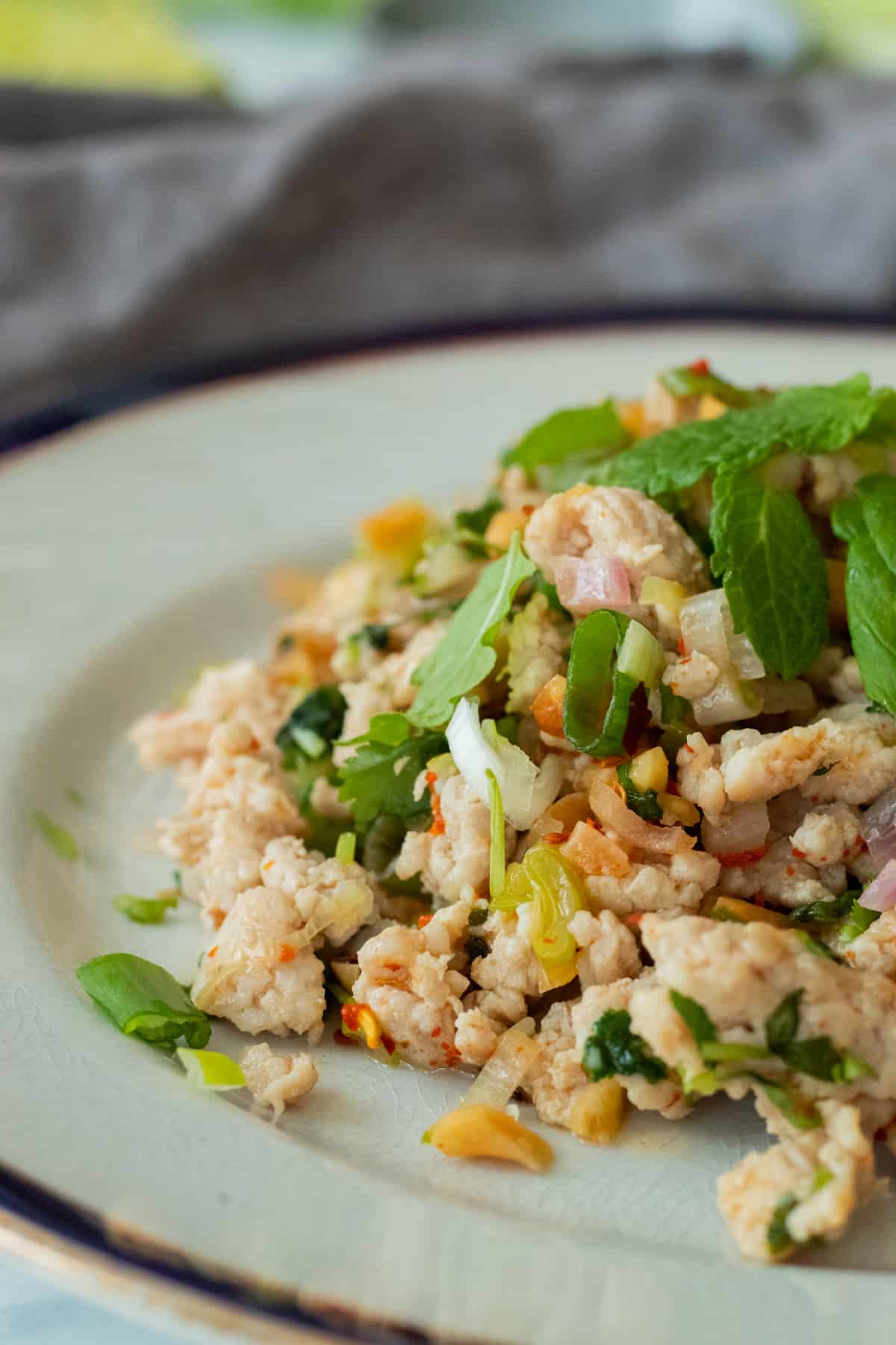 thai chicken salad on a plate decorated with mint leaves