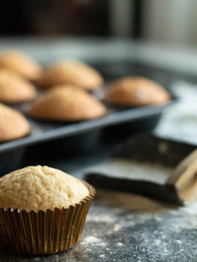 The Best Vanilla Muffins