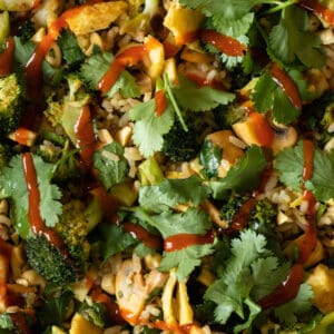 close up of thai curry fried rice