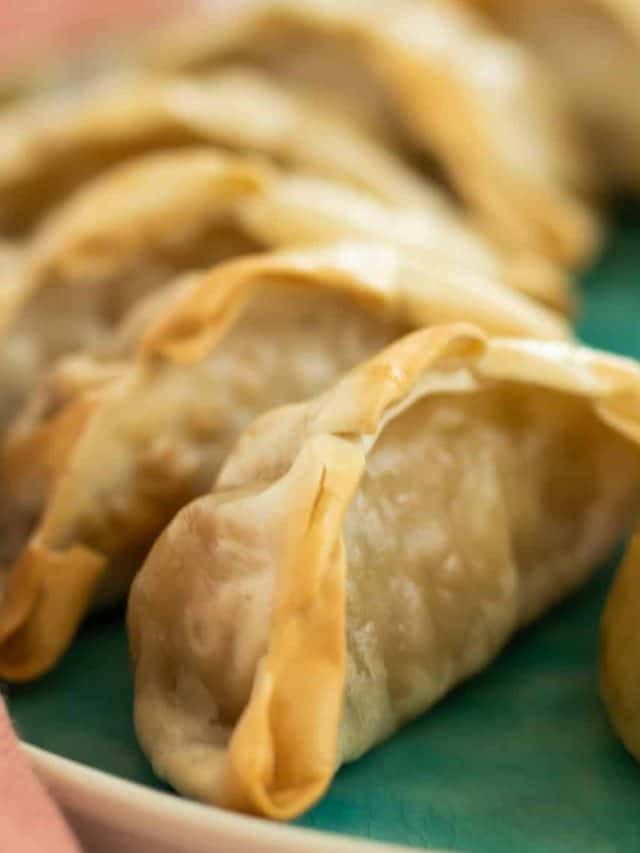cropped-AF-frozen-dumplings-3.jpg