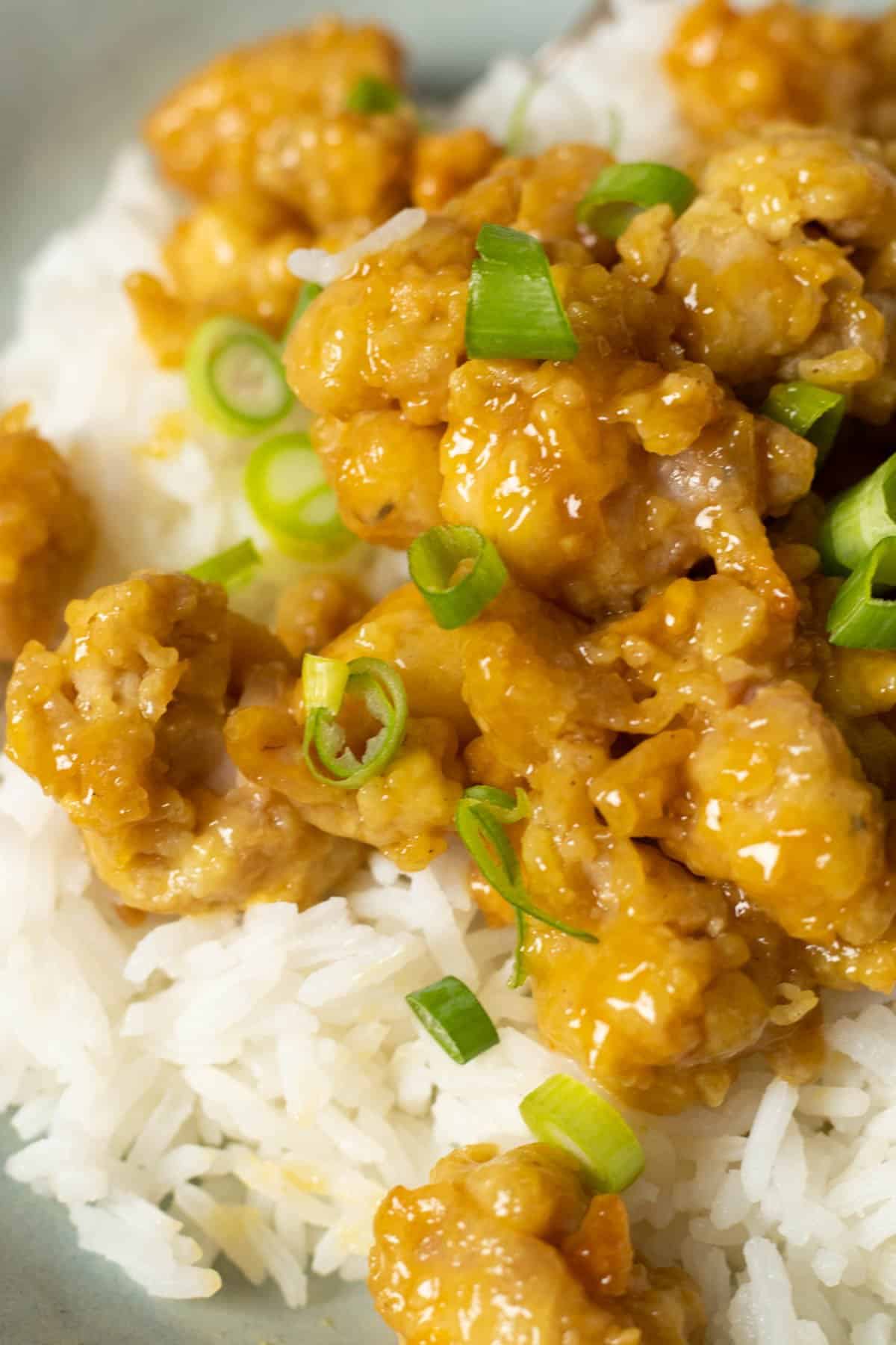 air fryer orange chicken with rice and scallions