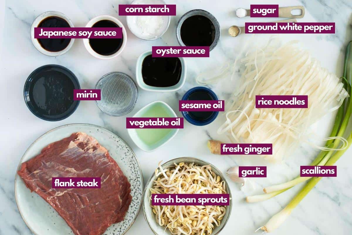 ingredients for beef chow fun
