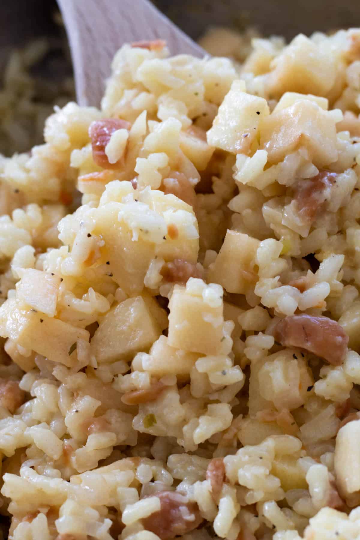 close-up of apple risotto