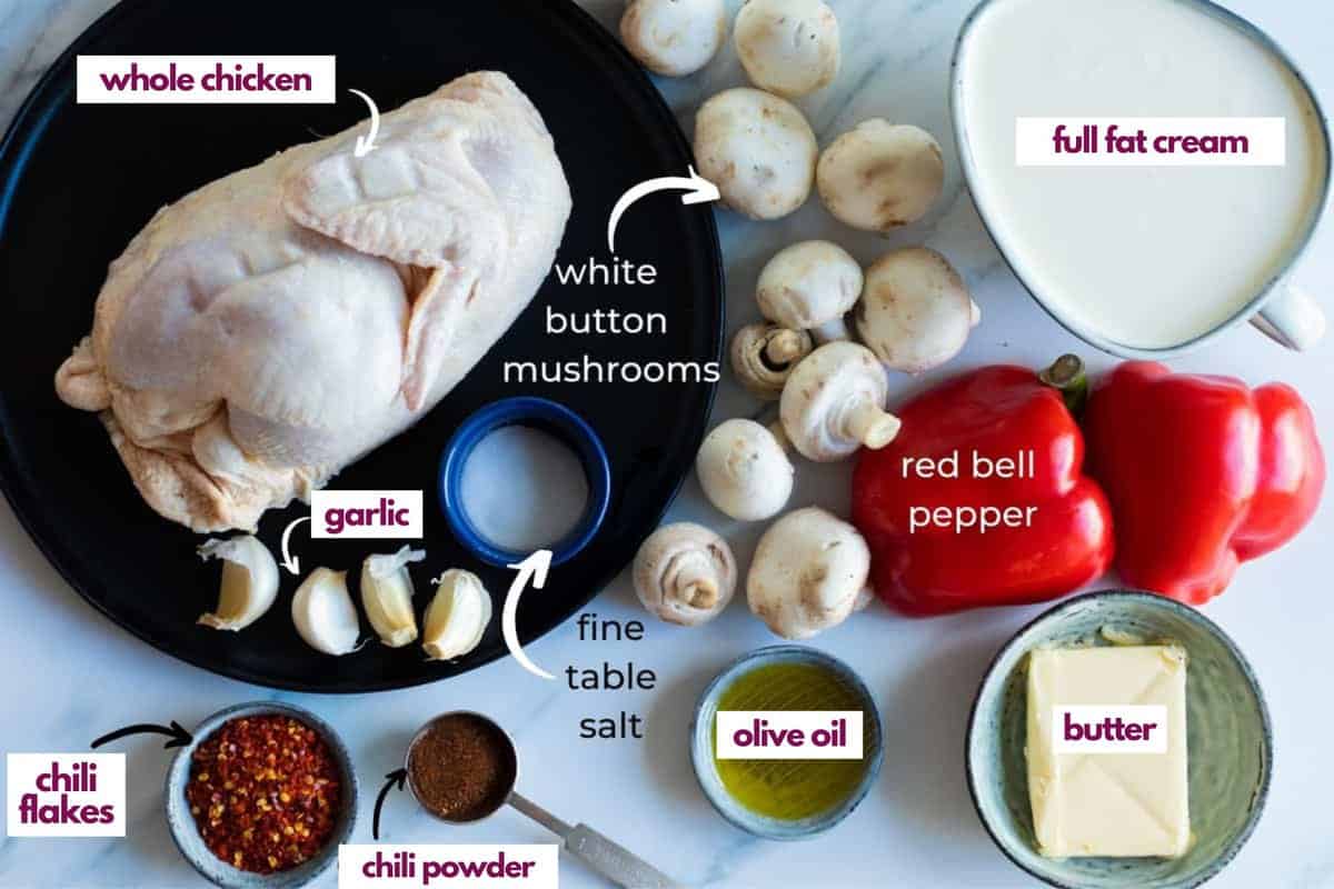 Ingredients for spicy chicken soup.