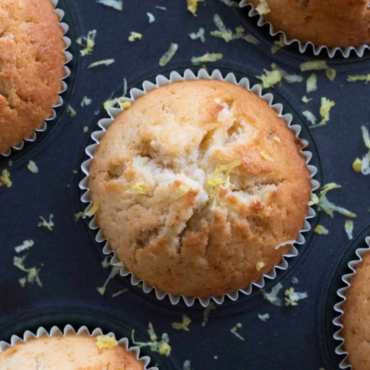 a lemon muffin topped with lemon zest in a muffin tin.