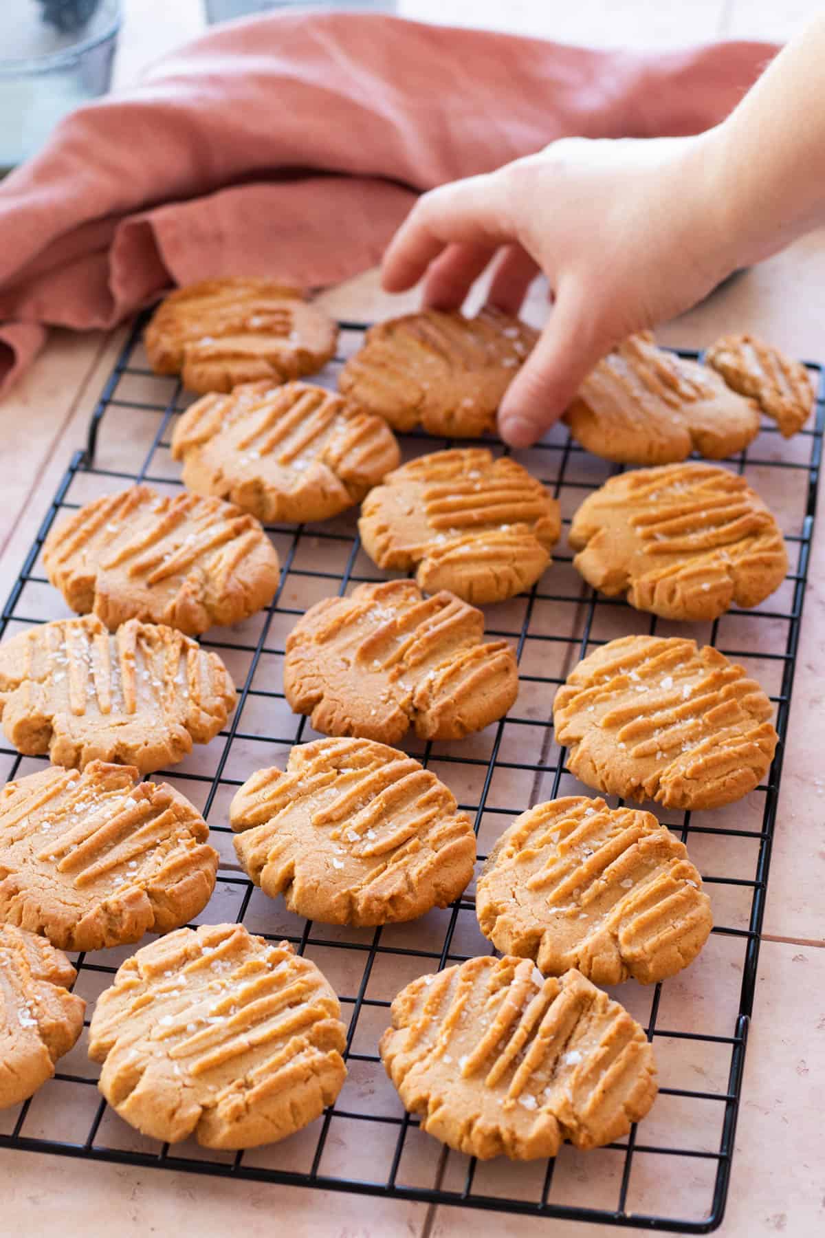 A peanut butter cookie being piked up from a wire rack.