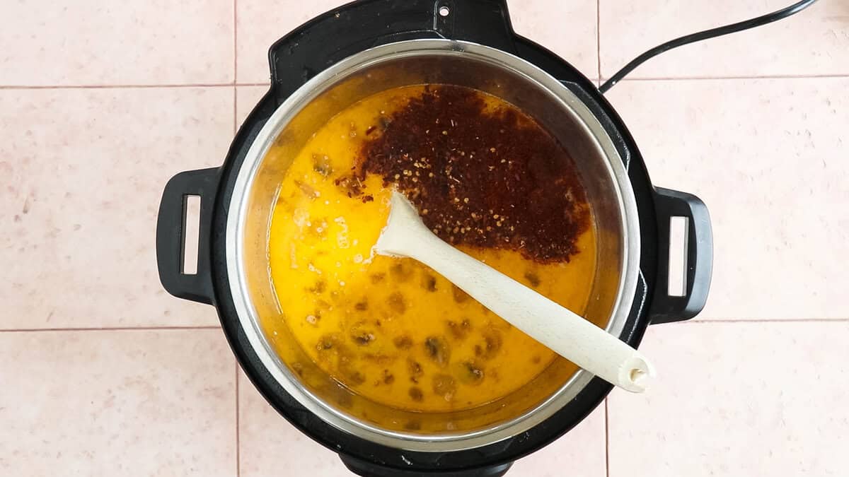 Adding spices to instant pot chicken soup.