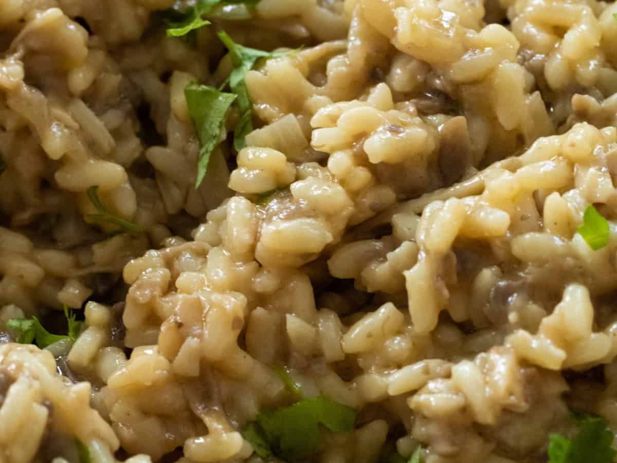 Mushroom truffle risotto.