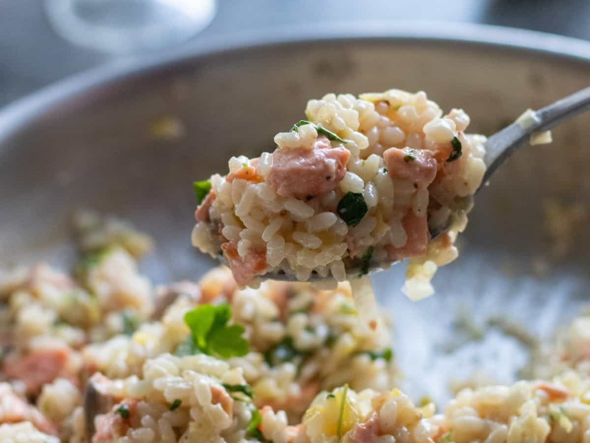 A spoonful of salmon risotto.