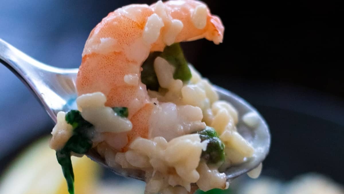 A spoonful of shrimp risotto.