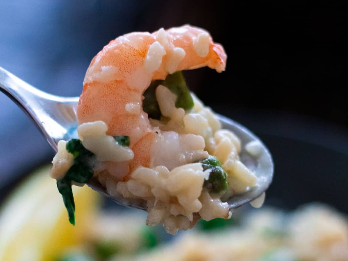 A spoonful of shrimp risotto.
