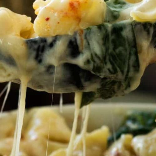 A spoonful of cheesy tortellini casserole.