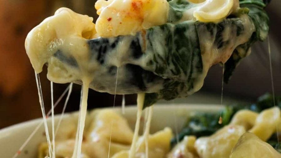 A spoonful of cheesy tortellini casserole.