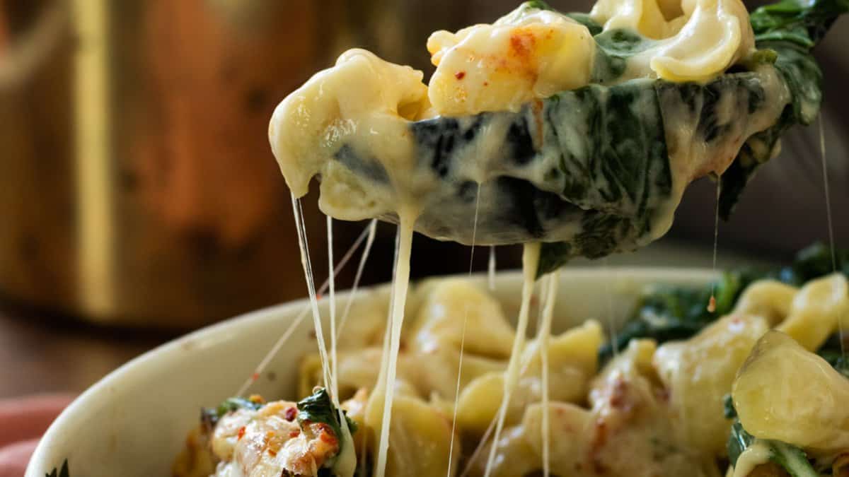 A spoonful of cheesy tortellini casserole.