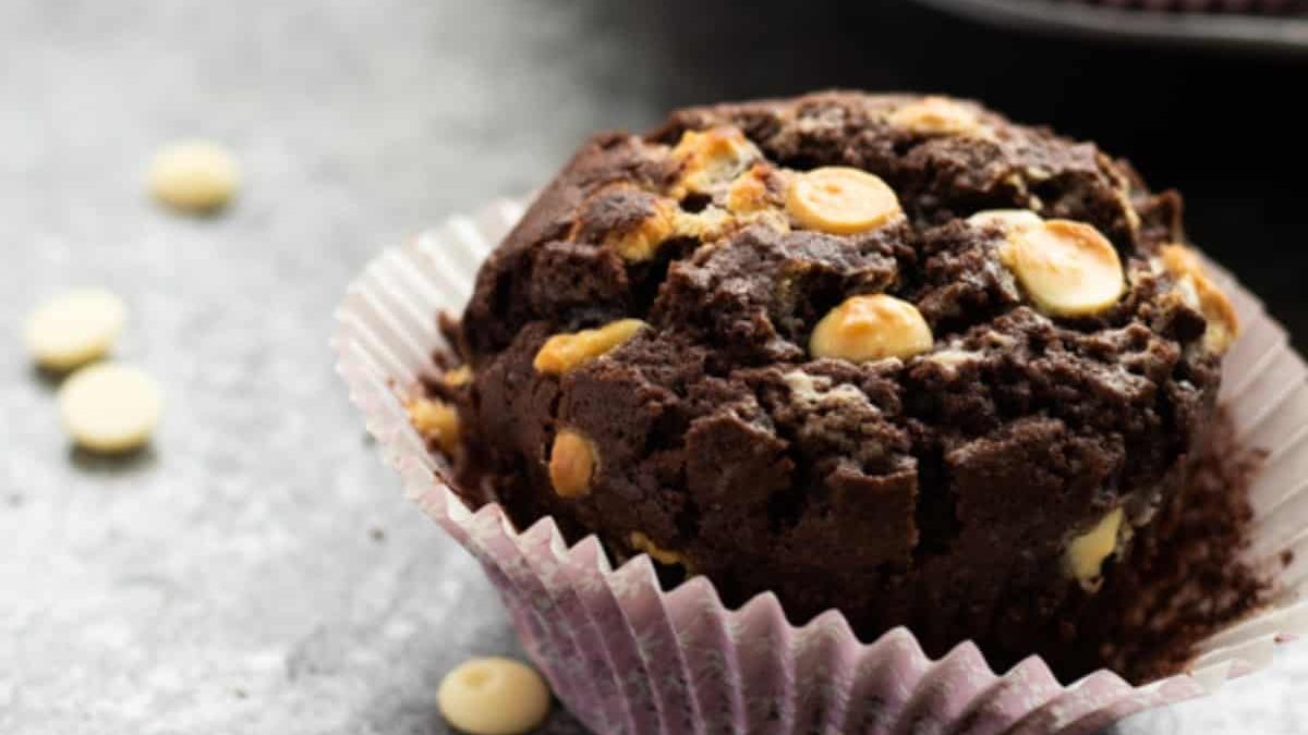 a double chocolate chip muffin.