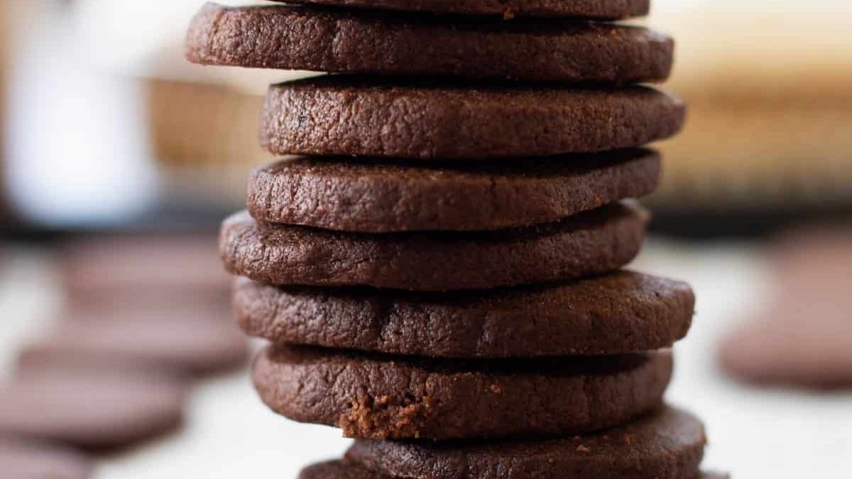 A stack of cocoa powder cookies.