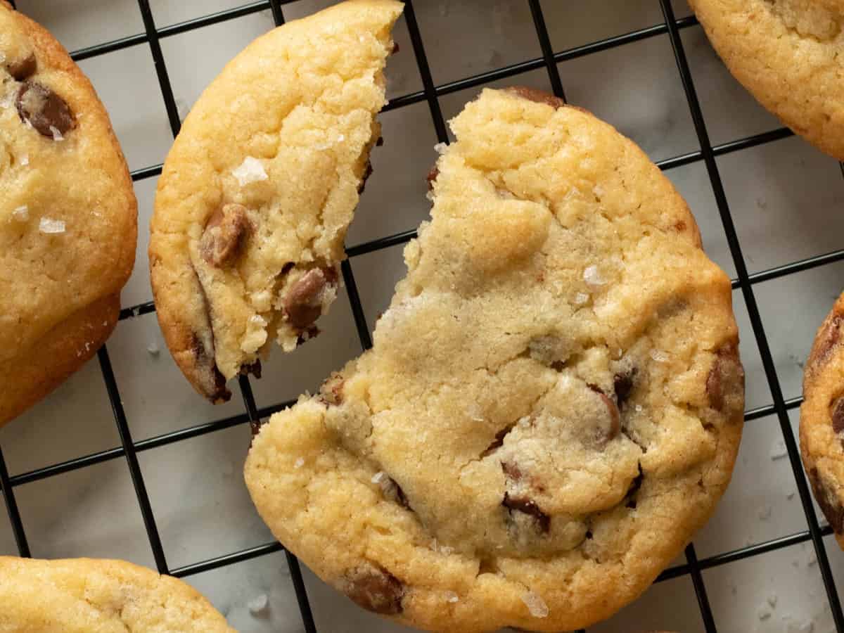 A chocolate chip cookie.