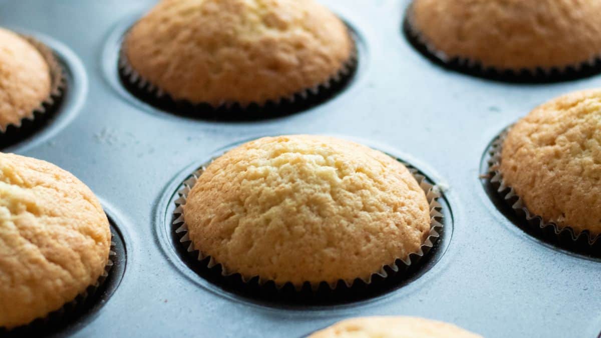 A vanilla muffin.