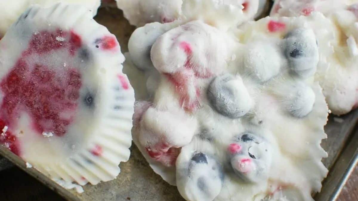 Frozen Greek Yogurt Fruit Bites