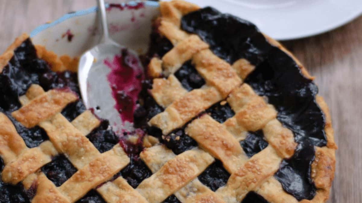 5+ Blueberry Savory Recipes