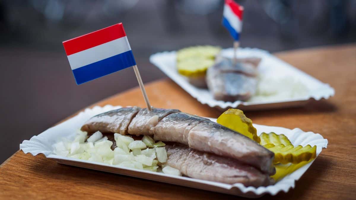 A pickled fish on a plate with a Dutch flag.