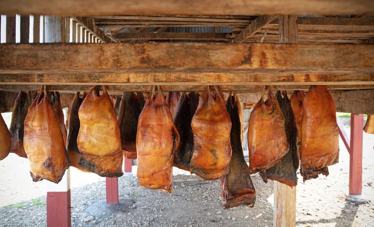 Hanging fermented shark.