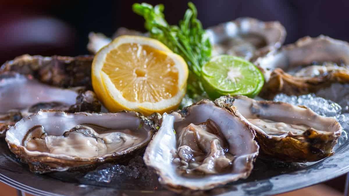 Oysters.