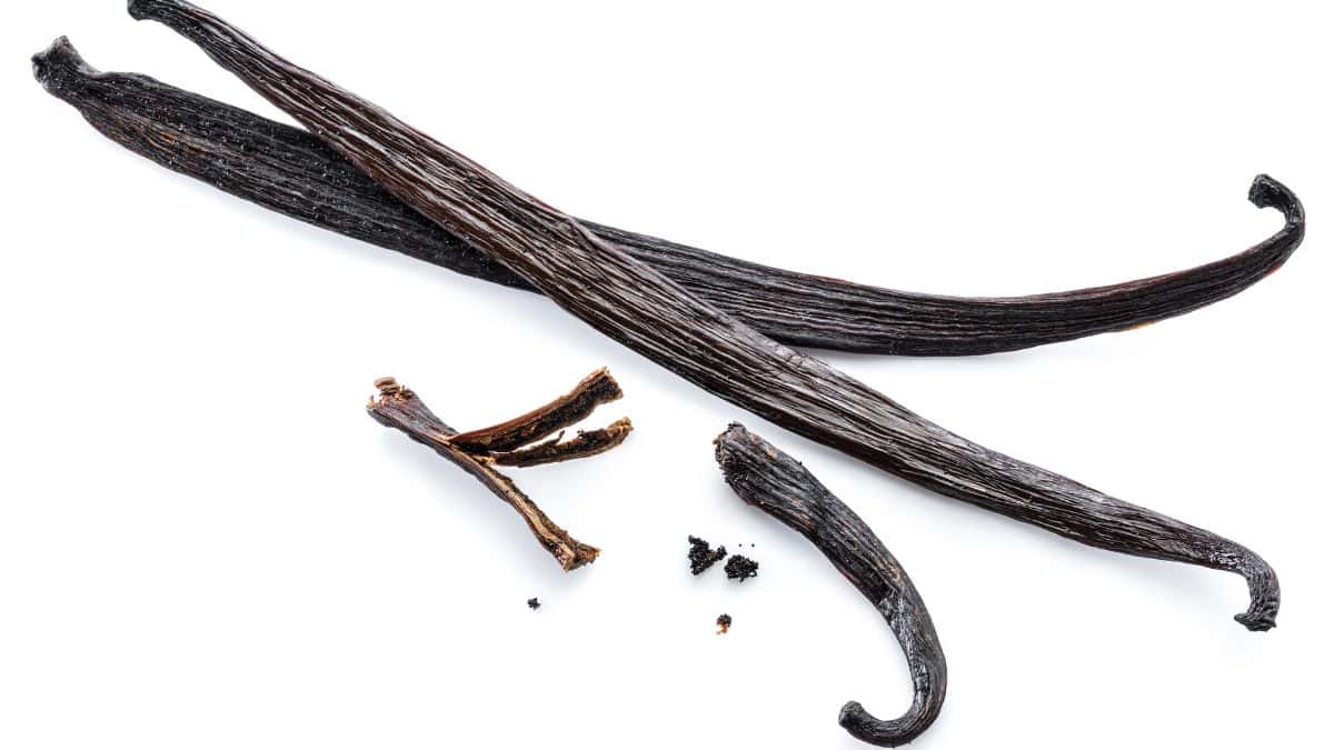 Vanilla beans on a white background.