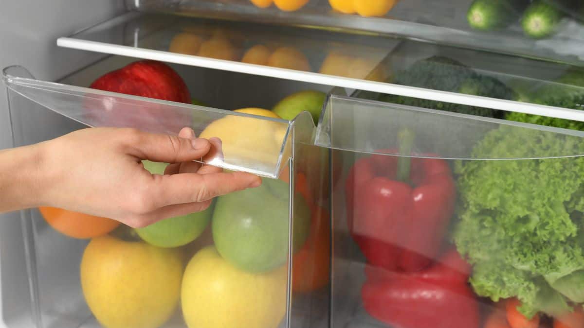 A person opening a vegetable drawer in the fridge.