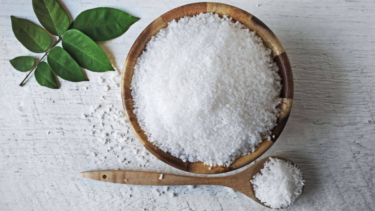 A bowl of salt next to a small spoon with salt.